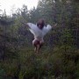 Two Flaps of Wings