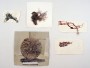 Small Works on Paper Small Works on Paper