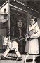 Woman Walking a Rocking Horse