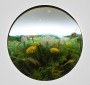 Dandelion Cluster Dandelion Cluster