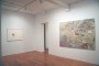David Scher