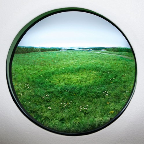 Fairy Ring with English Daisies