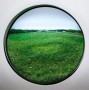 Field with Fairy Ring Fungus