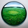 Fairy Ring With Dandelions