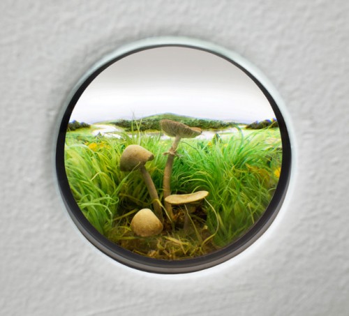 Fairy Ring Mushroom Cluster #2