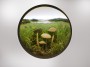 Small Fairy Ring Mushroom Cluster