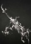 Lucid Accumulations I