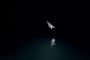 Follow (Video still) Follow (Video still)