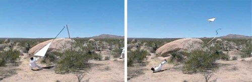 Joshua Tree Launch Series (Video Still)