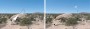 Joshua Tree Launch Series (Video Still)