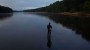Action for the Delaware
