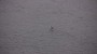 Time is Like the East River (video still 4)