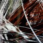 Swerve