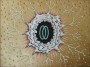 Ophanim Oil Study