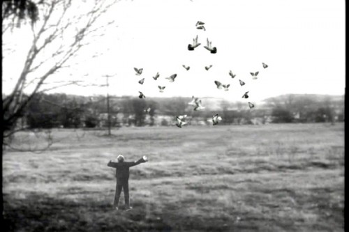 Still from: Film Studies