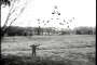 Still from: Film Studies