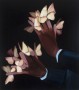 Moth hands