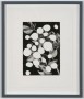 Plants with Holes