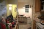 The House Party