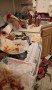 The House Party