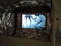 Basec Video 31 Basec Video 31