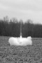 Rocket Launch Rocket Launch