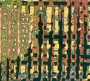 Compound, Green Stripe