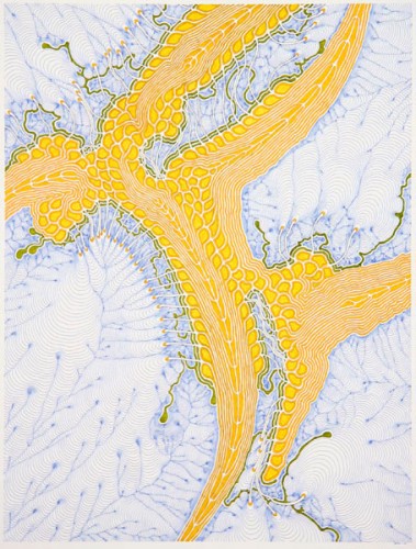 Directional Substrate