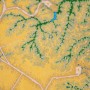 Elm Coulee Field (Bakken Formation; near Sydney Montana) (detail)