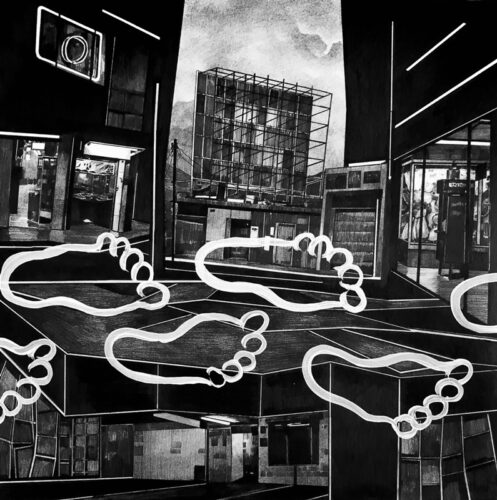 Hugo Crosthwaite at Mana Contemporary | Pierogi Gallery